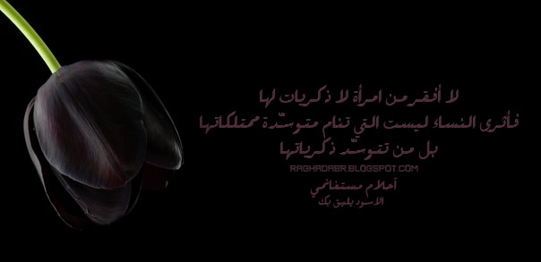 ���� ������ �� ����� ������ ������� ���� ������ �� ���� ������ ������ �������