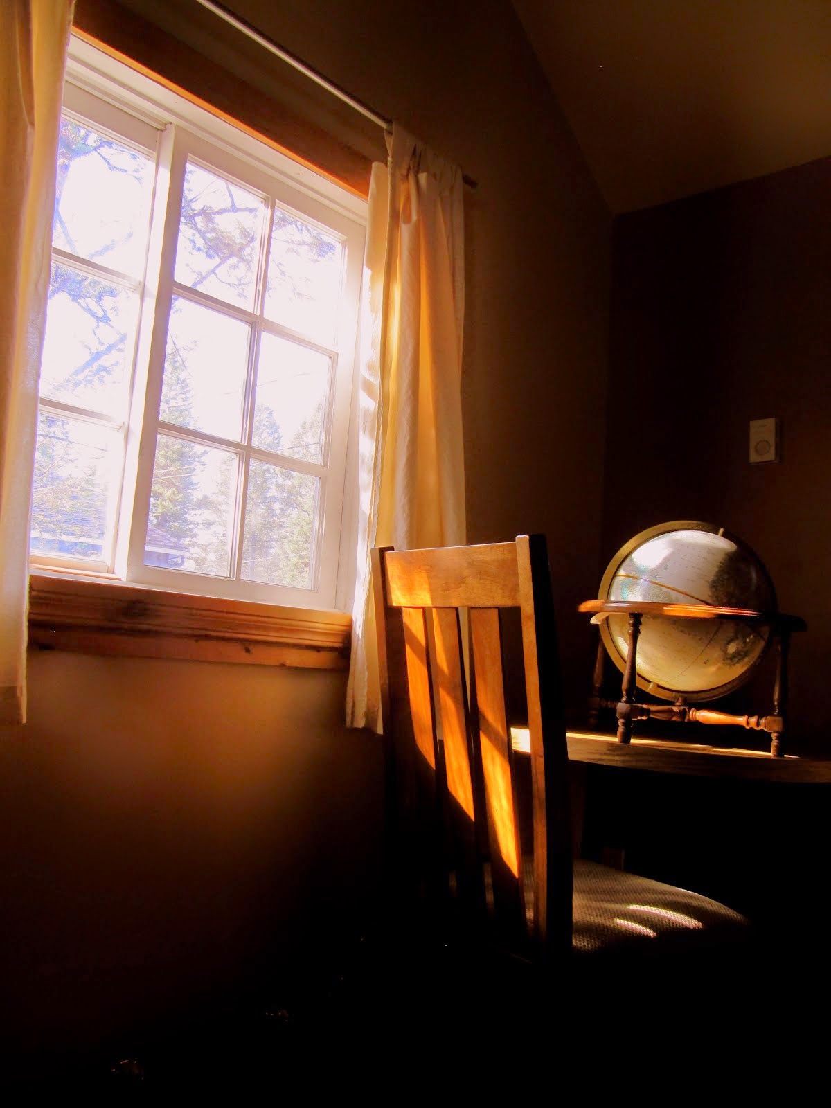 The Sunny Window