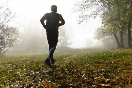 Panoramareise Von Der Zugspitze Bis Zur Highline 179