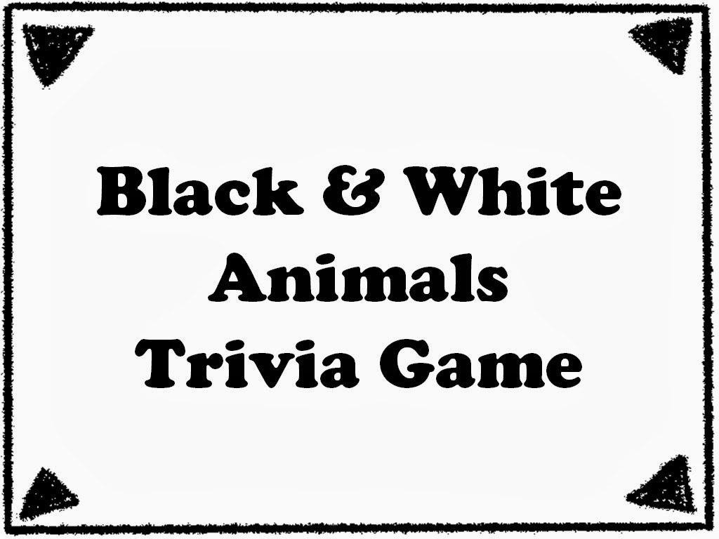 Student Survive 2 Thrive Black and White Animals Trivia Game Science