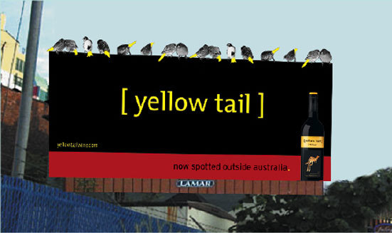 yellow-tail