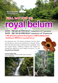 Royal Belum Full Day