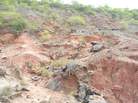 Degradação Ambiental