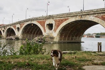 Toulouse - Septembre 2013