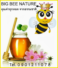 BIG BEE NATURE