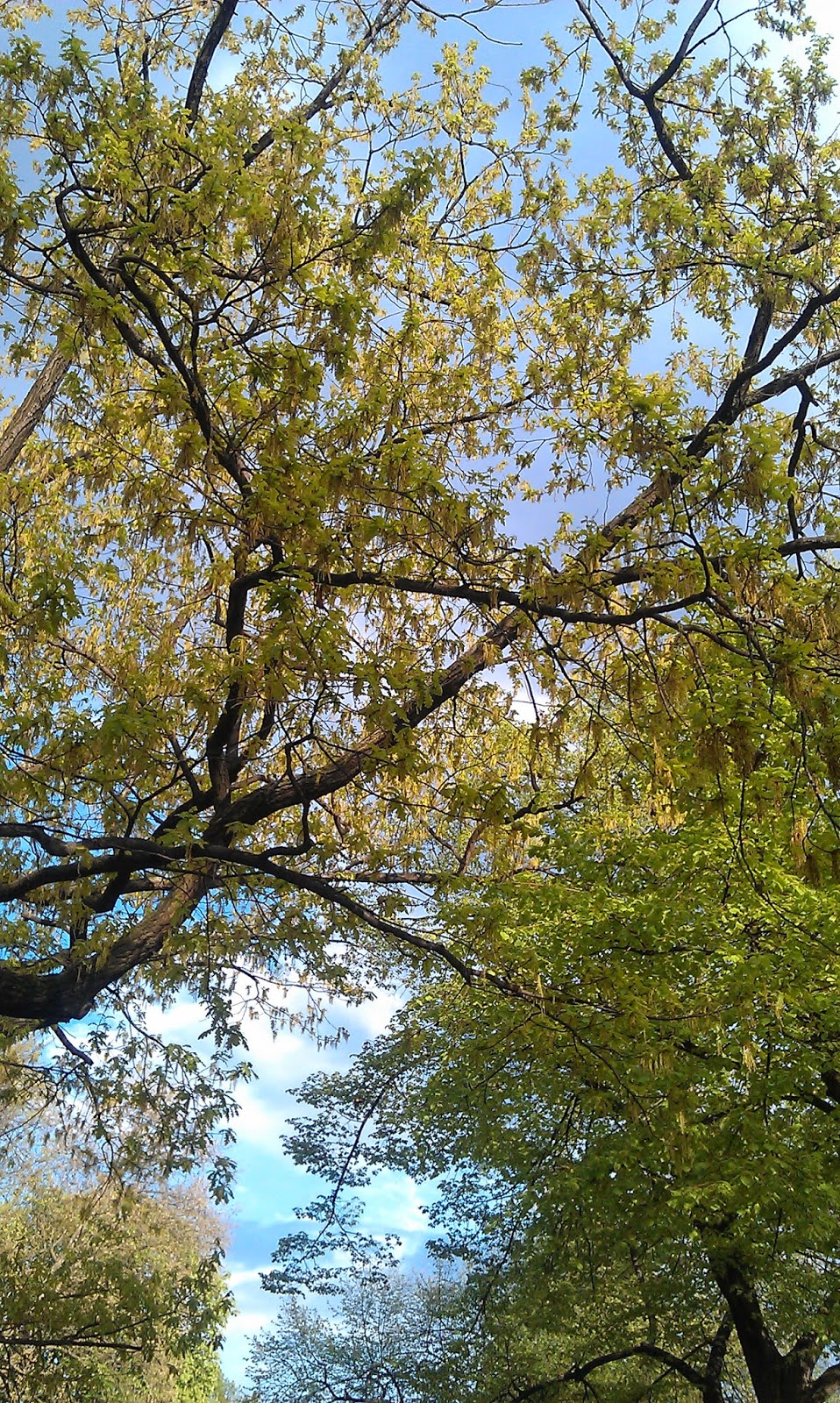 Runzelfuesschen Wochenende in Bildern Runzelfuesschen Wochenende in Bildern