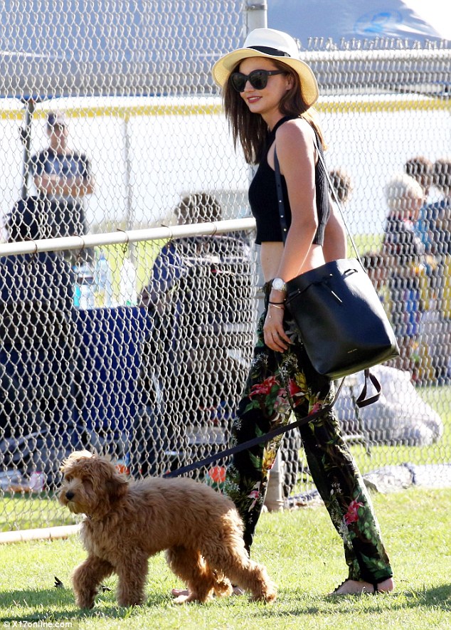 Miranda Kerr S Dog Teddy Breed Miranda Kerr S Dog Teddy Breed