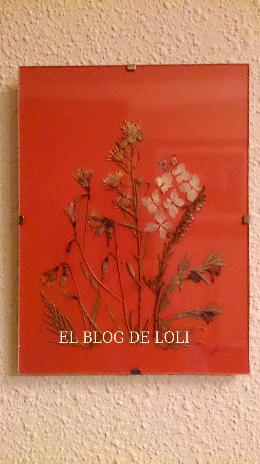 Consejos Feng Shui 123