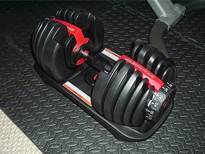 Bowflex Selecttech 552 Adjustable Dumbbells