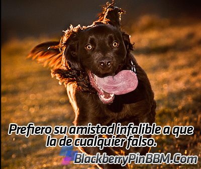 Imagenes para el pin del blackberry (Parte 1) Imagenes para el pin del blackberry (Parte 1)