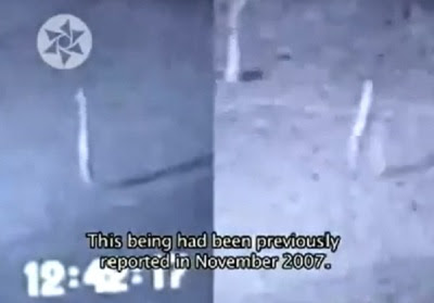 camera surveillance nocturne