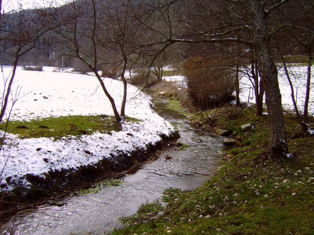 Calluna Magazin Das Neue Heft Ist Da