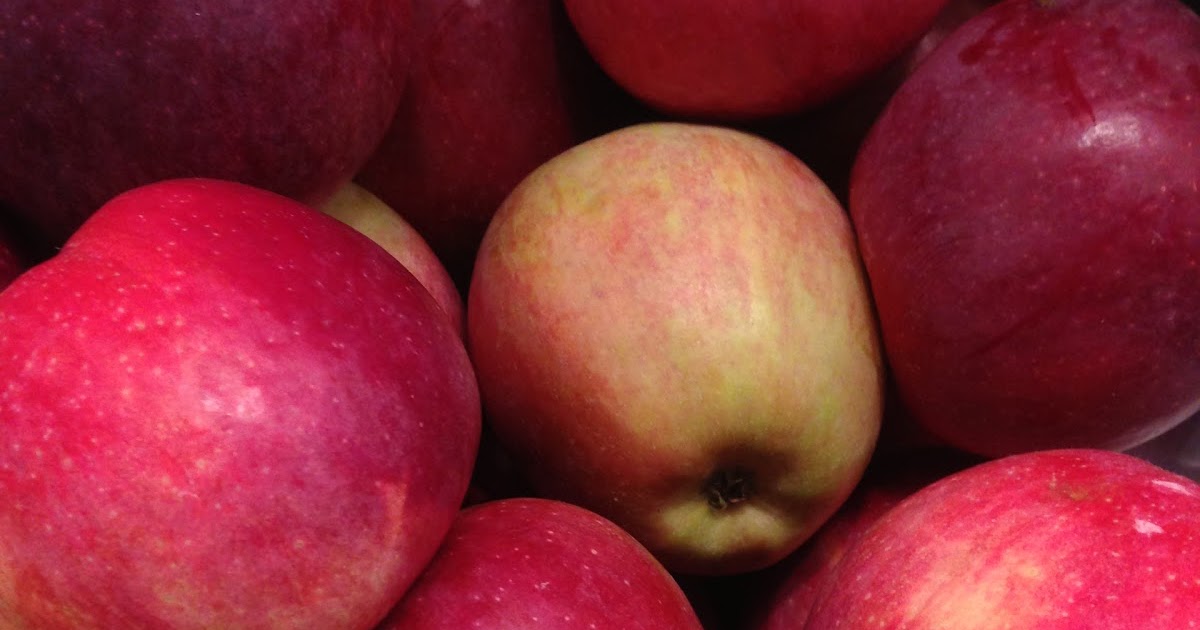 Annie's Gardening Corner Hands Down, it’s Liberty