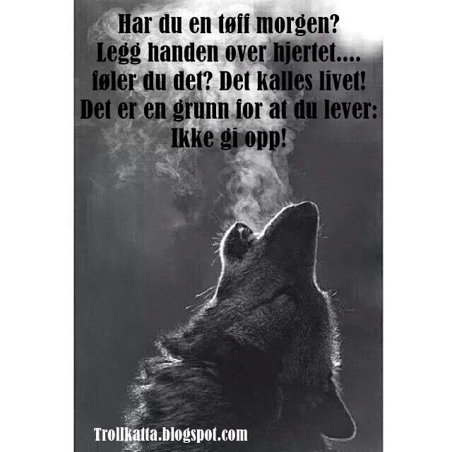 dikt til bruden norweigian dikt til bruden norweigian
