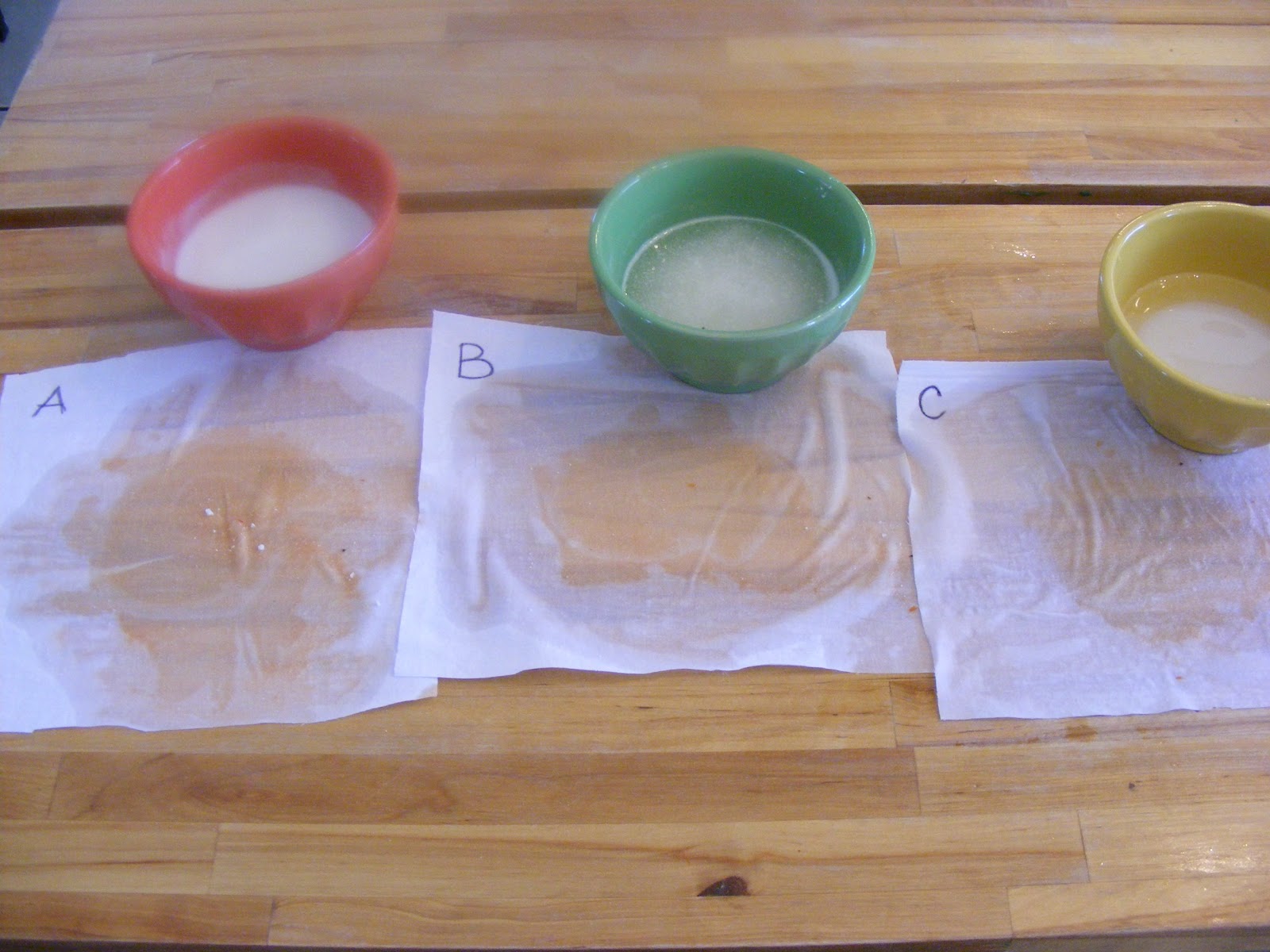 My Mostly Unbiased Completely Unscientific Stain Remover Experiment The Complete Guide to