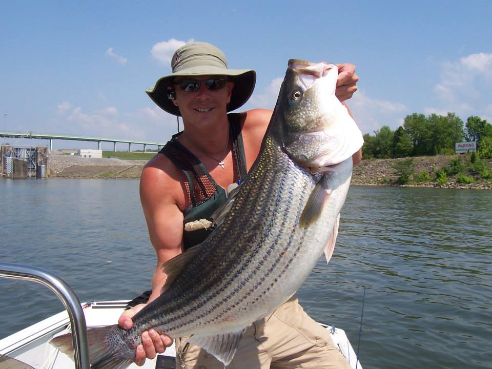 Fish On! Guided Tours. Knoxville, Tn Knoxville Tennessee's Premier