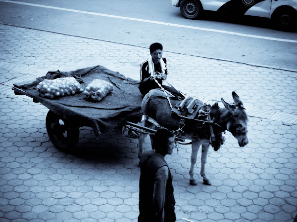 2009, China, donkey cart, Manzhouli, travel