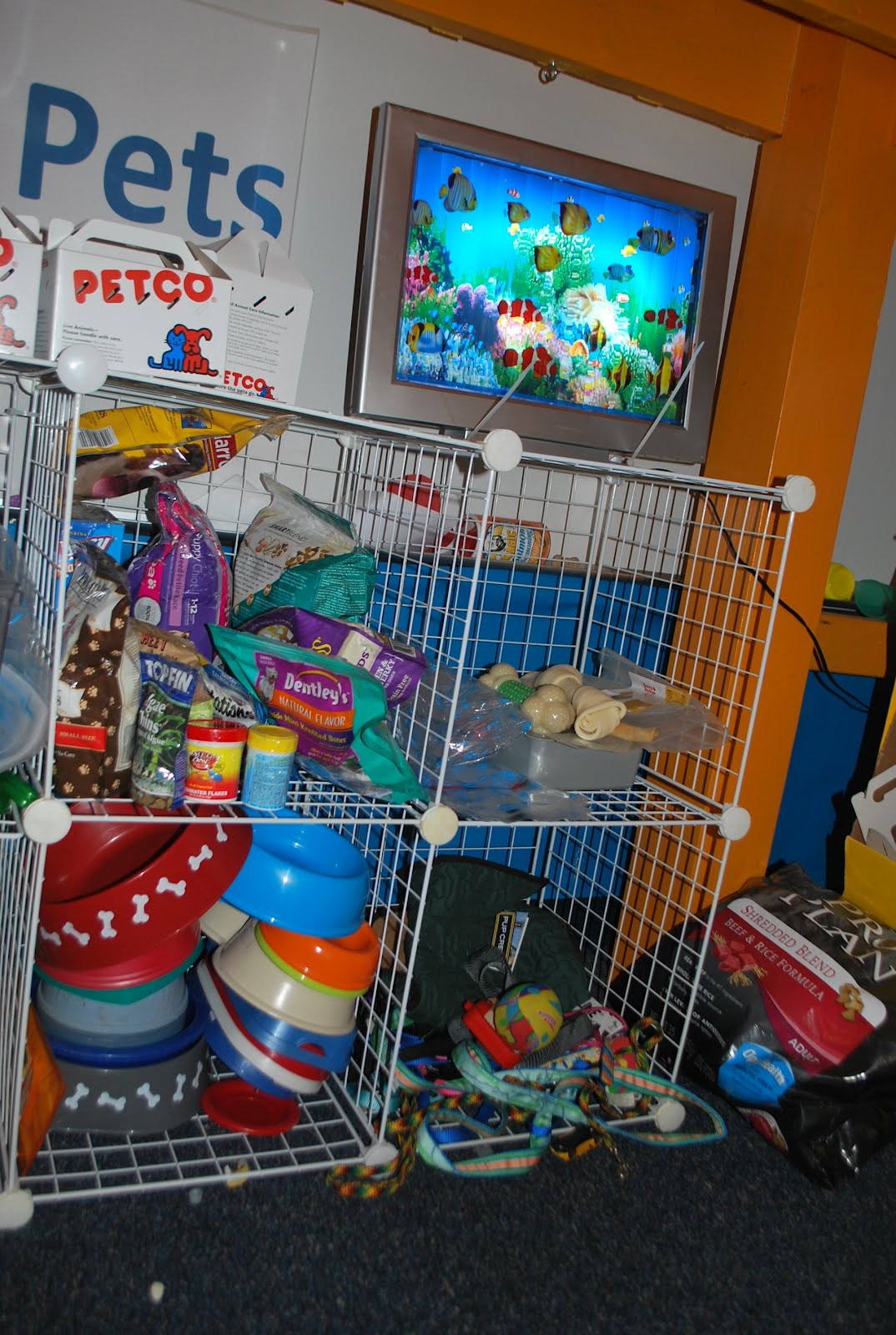 Familylicious Preschool Projects: Vet/ Pet Store Imaginary Play