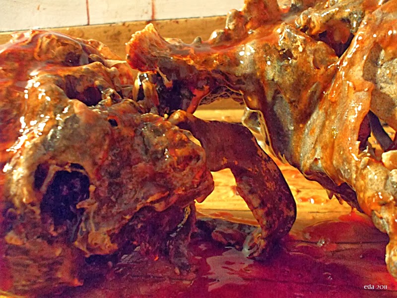 Thanatomorphose | Foto 2 Thanatomorphose | Foto 2