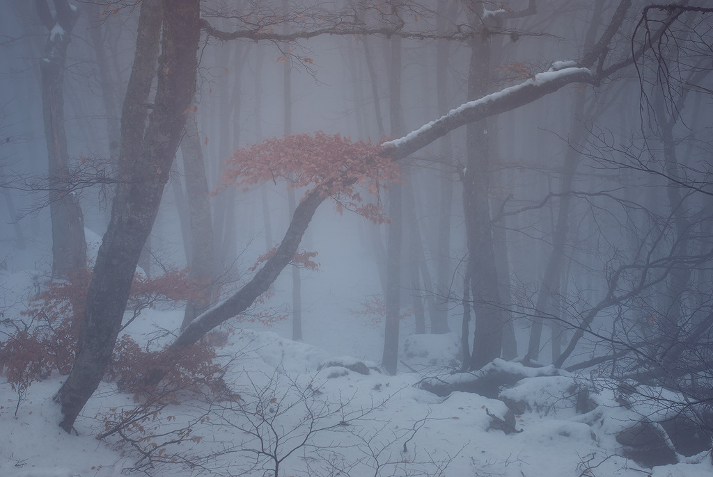 Красивые фотографии зимнего Крыма (29 фото)