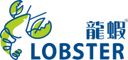 About Lobster Limited