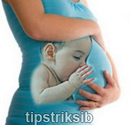 Amabis fundamentos da biologia moderna download