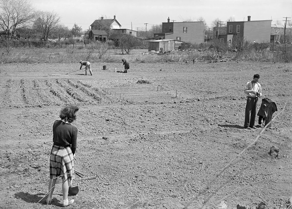 History in Photos Victory Gardens