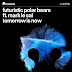 For the Futuristic Polar Bears and Mutants Records, Tomorrow Is Now…
