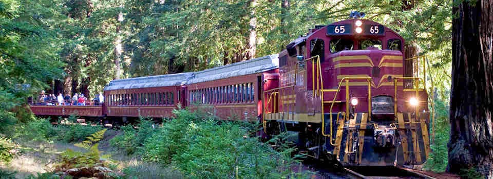 The Ferocious Patriot Expose: [HD] A Ride on the Skunk Train, Fort