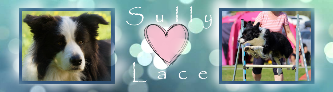 Sully and Lace