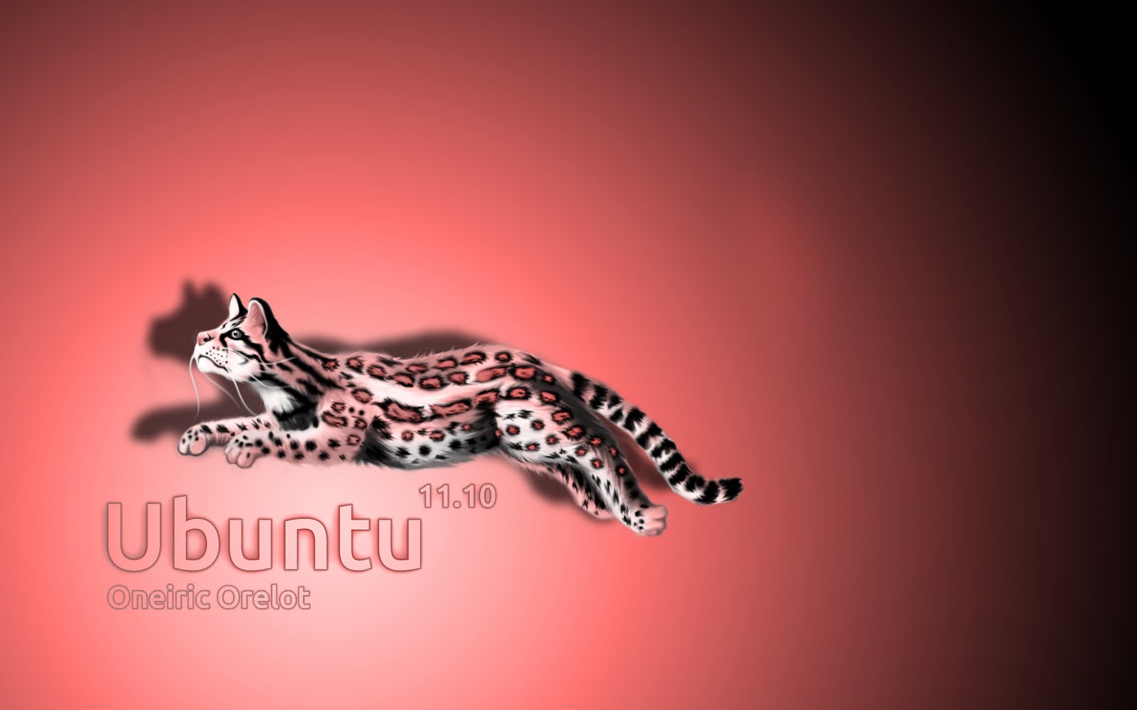 skandgupt Ubuntu wallpaper n wallpaperSkanD GupT3