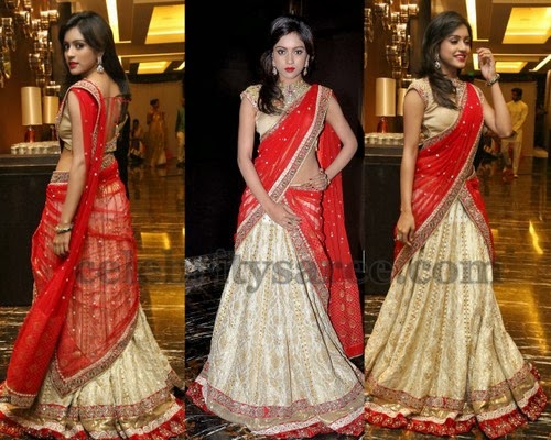 Vithika Silk Shimmer Half Sari