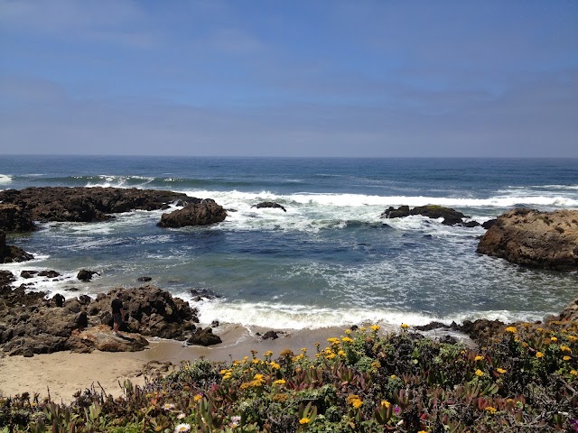 Pescadero Beach