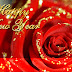 16+ Beautiful Happy New Year Greeting Card