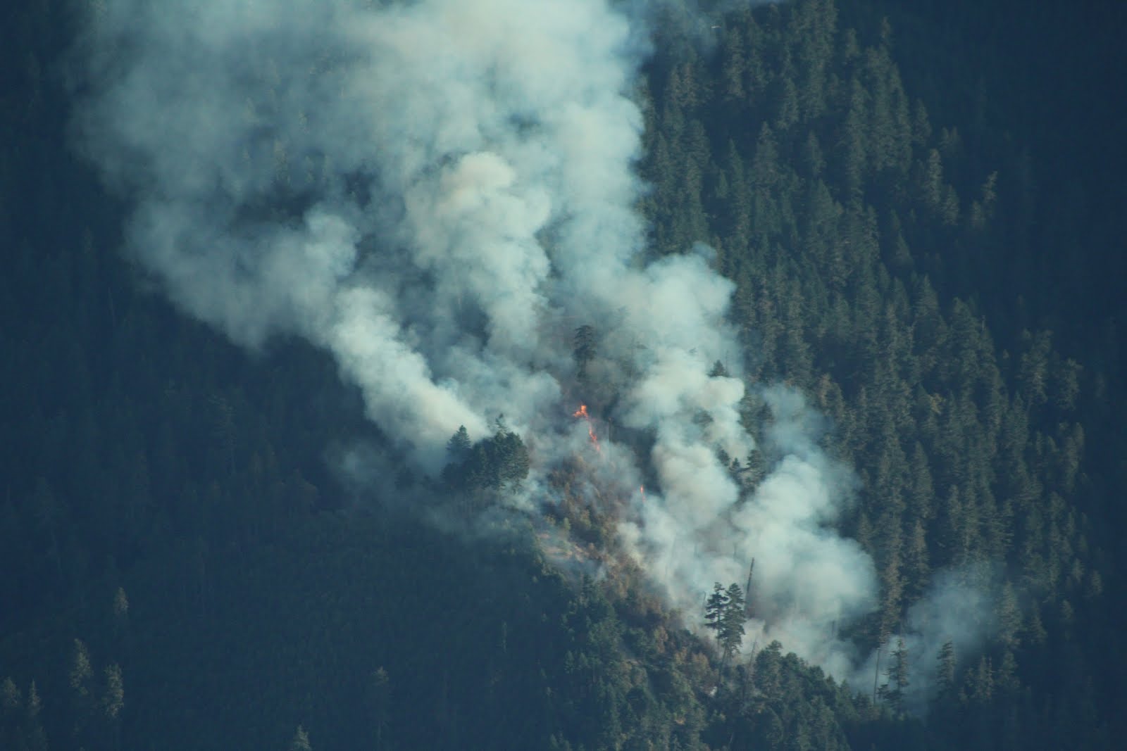 wildfire oregon dept of forestry