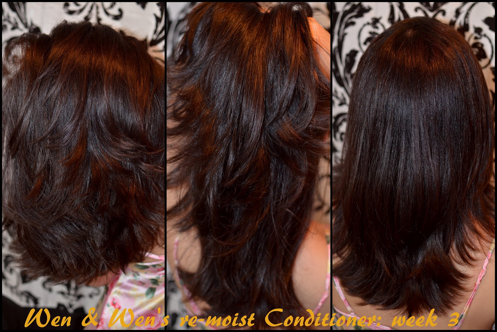 Adorned Faces Makeup My Journey With Wen Wen Haircare Line Review
