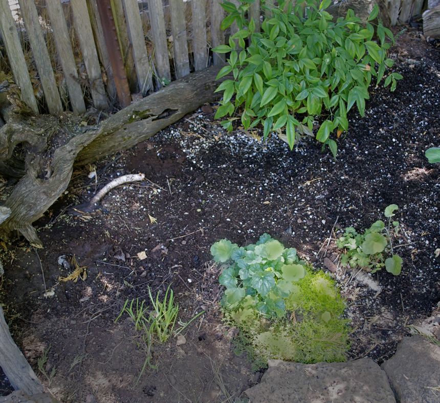Willodel MAKING A GARDEN TOAD HABITAT TUTORIAL