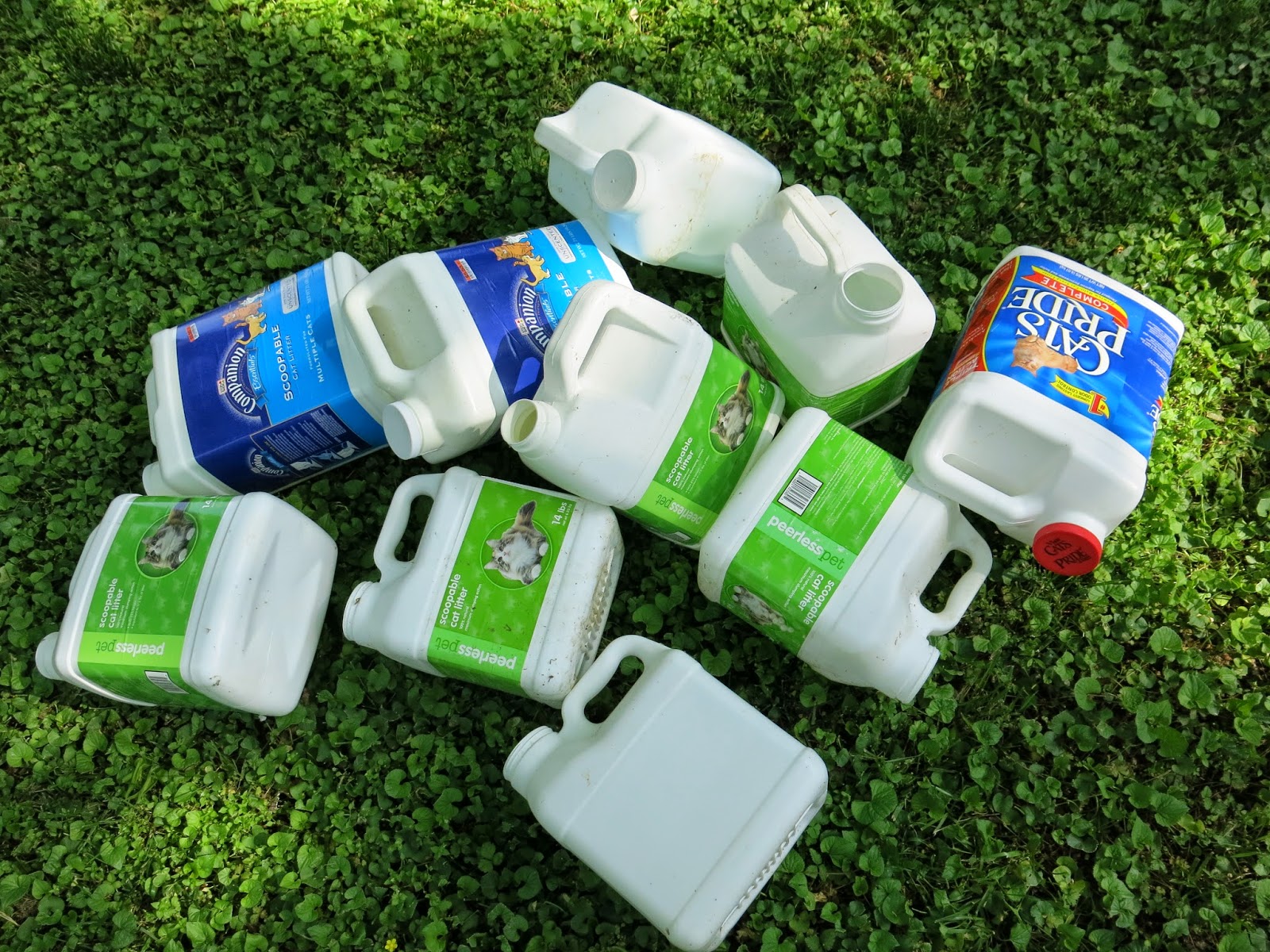 Reuse Kitty Litter Containers at Annie Gipson blog