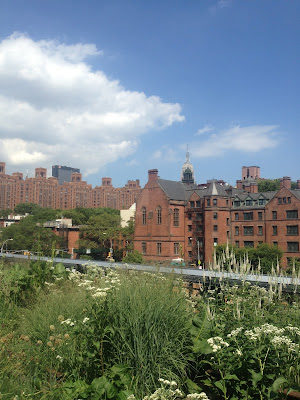 high line, friends of the high line, chelsea, soho, new york, hudson yards, churches, buildings in new york, apartments in new york, green, sustainable living