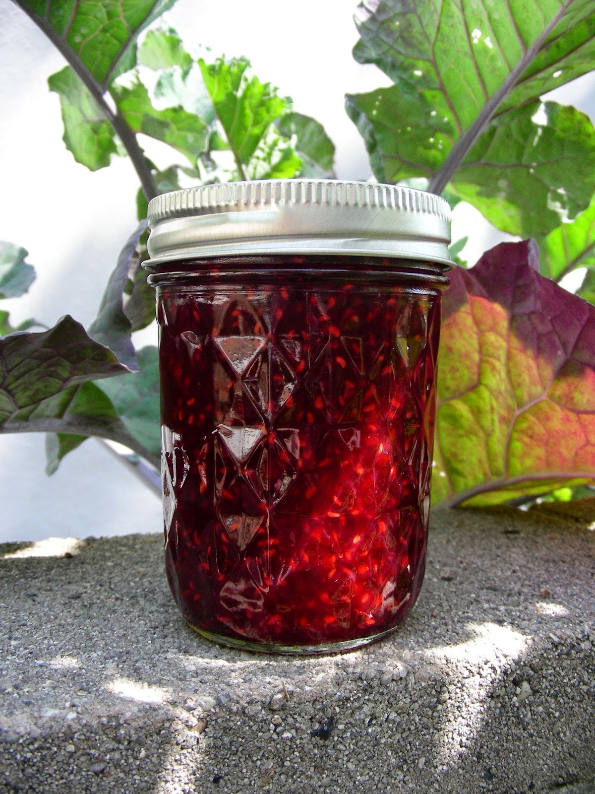 Susan Can Cook Raspberry and Pom Jam
