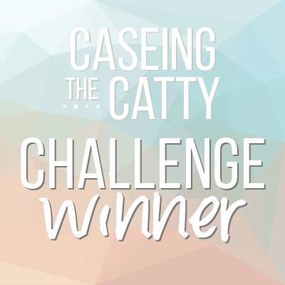 Casing the Catty Challenge winner