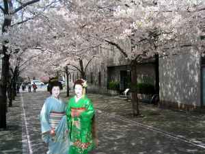 Wanita Kyoto Wanita Kyoto