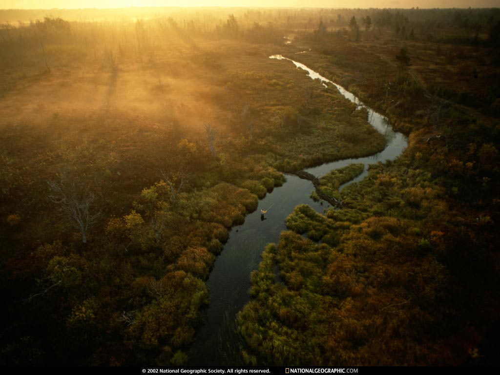 http://2.bp.blogspot.com/-TANcRlXINoA/UMtFEUI_fbI/AAAAAAAADKs/QEexYSIMUIQ/s1600/National%20Geographic%20HD%20Wallpapers%2050.jpeg