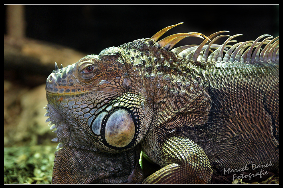 Namida Magazin Leipzig Reisetipps Bei Schlechtem Wetter