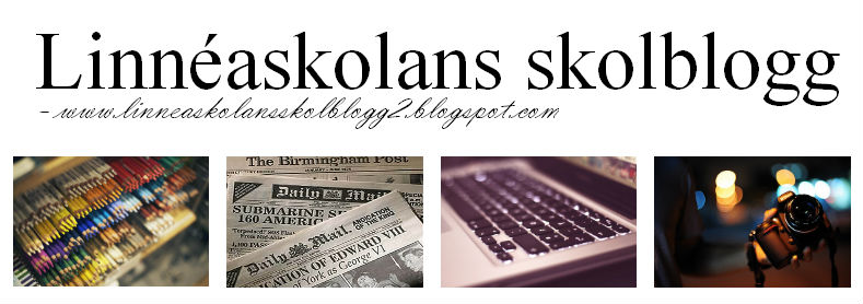 Linnéaskolans skolblogg