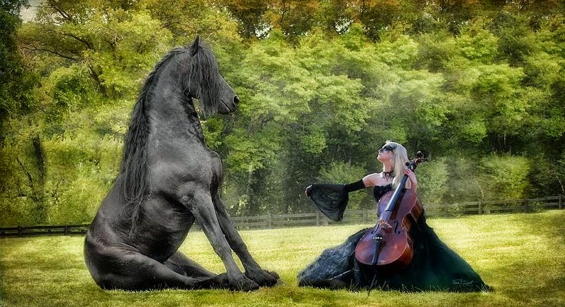 las-mejores-fotos-de-caballos imagenes de fotografias-de-caballos-finos