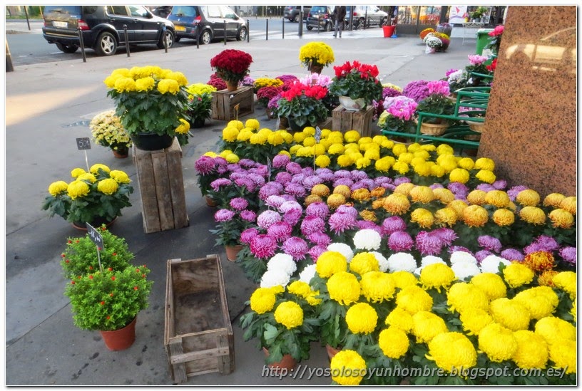 flores propias de un día como hoy, los santos flores propias de un día como hoy, los santos