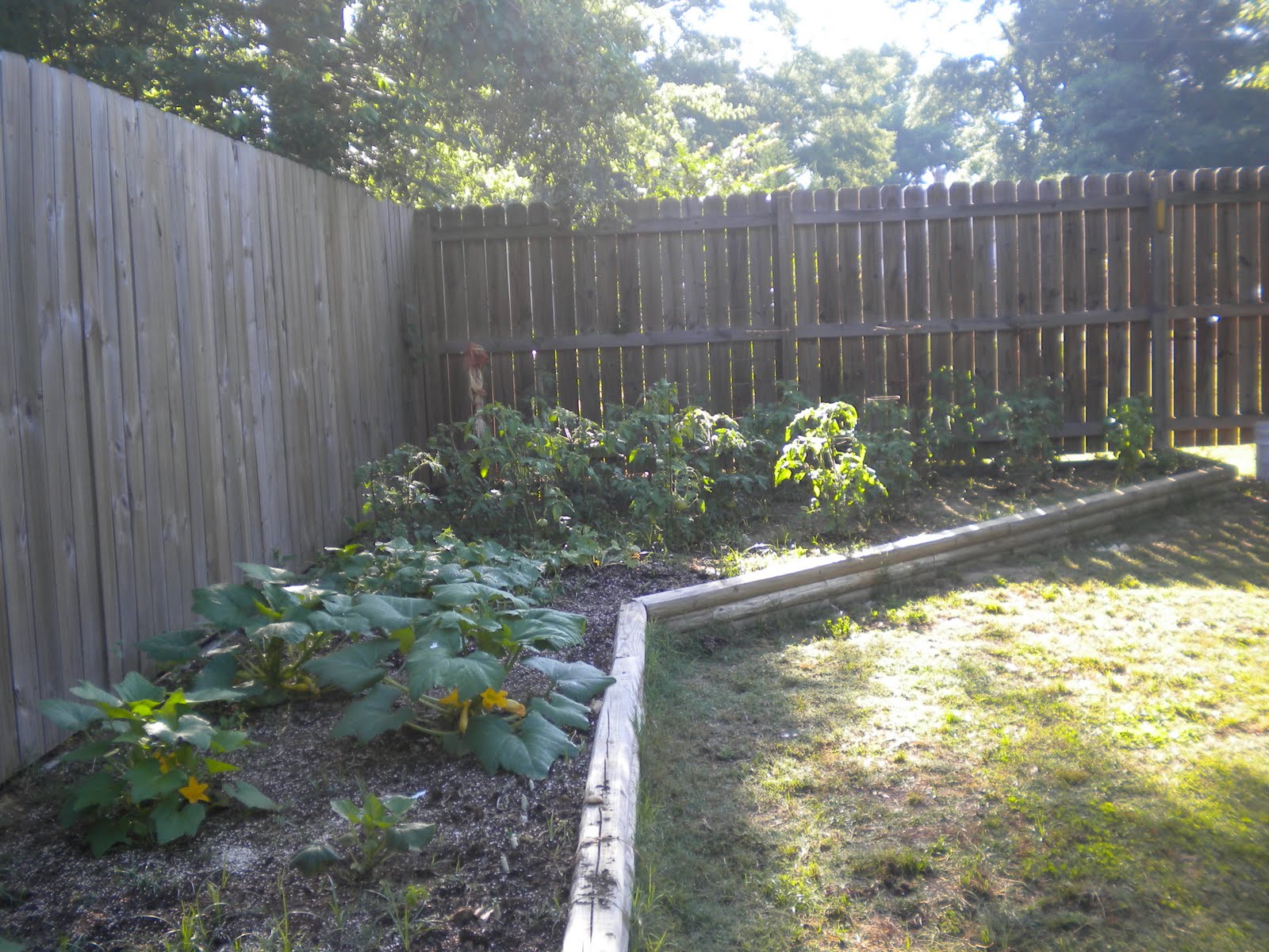 W.O.Bearden/Southern Shade Nursery Raised Garden Bed