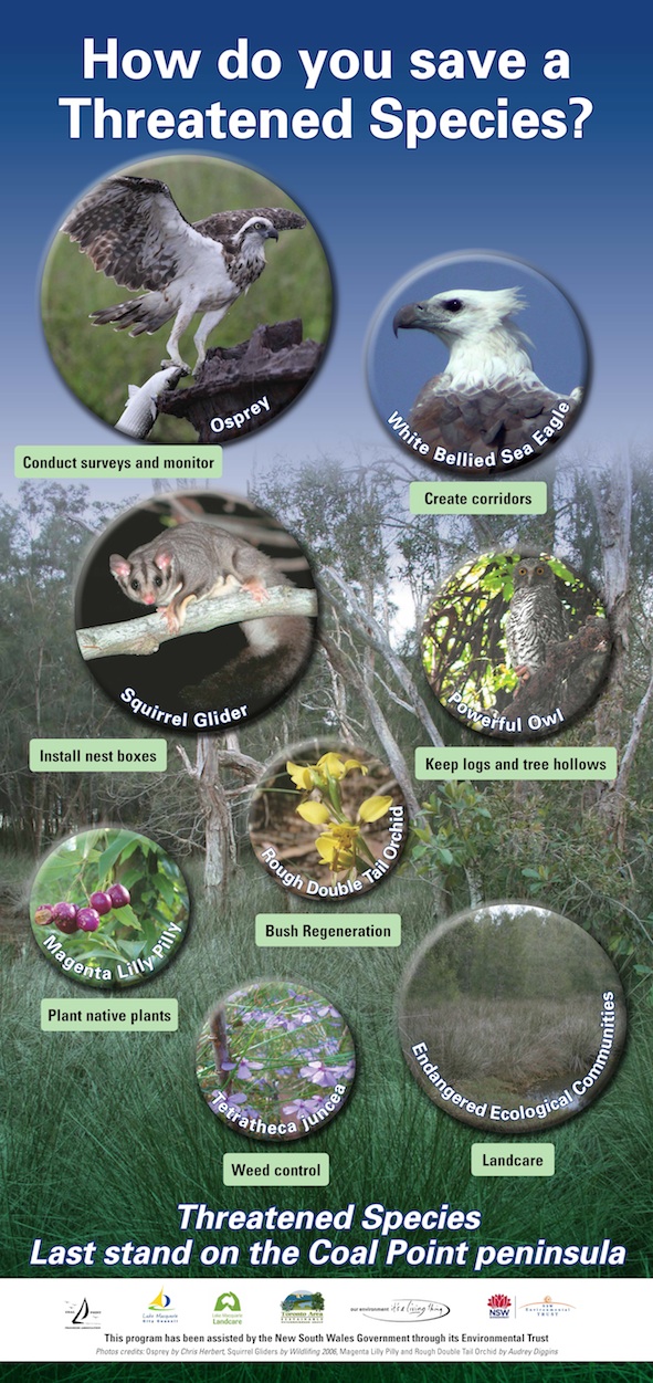 The Coal Point Chronicle: Threatened Species Last Stand (TSLS) Update