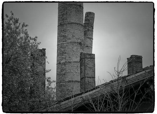 Coronavirus Themenseite